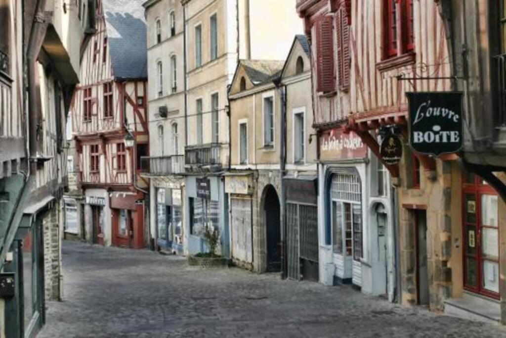 Centre-Ville : Maison De Charme - Secteur Calme Лавал Екстериор снимка